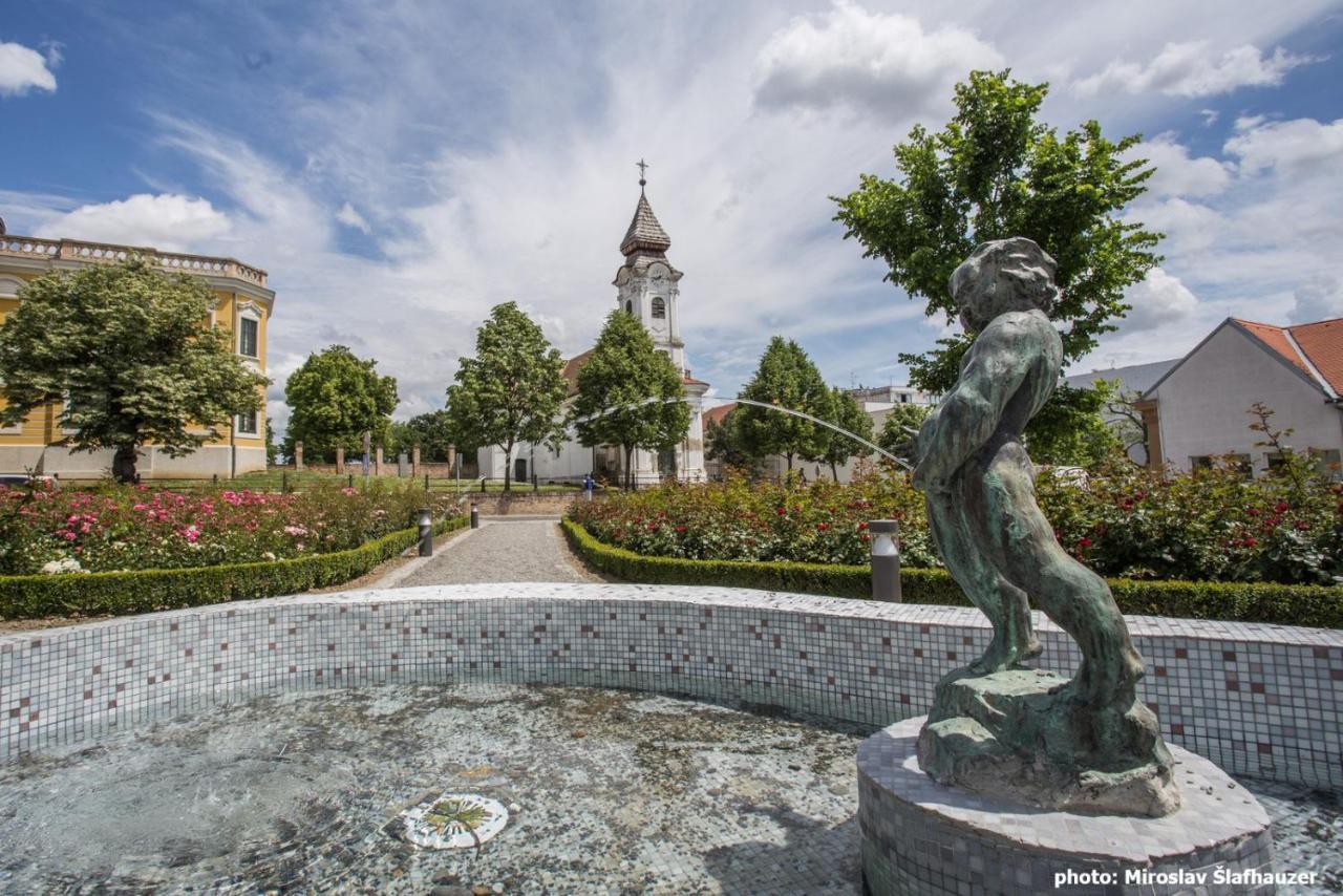 Bed and Breakfast Vila Rosa Вуковар Екстер'єр фото