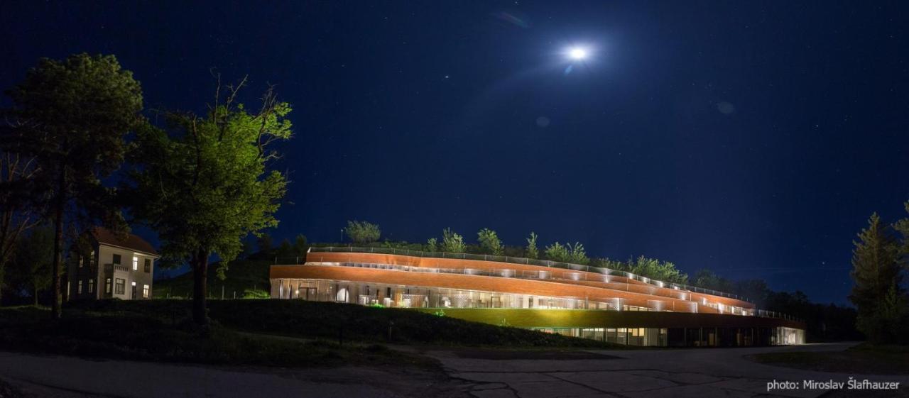 Bed and Breakfast Vila Rosa Вуковар Екстер'єр фото