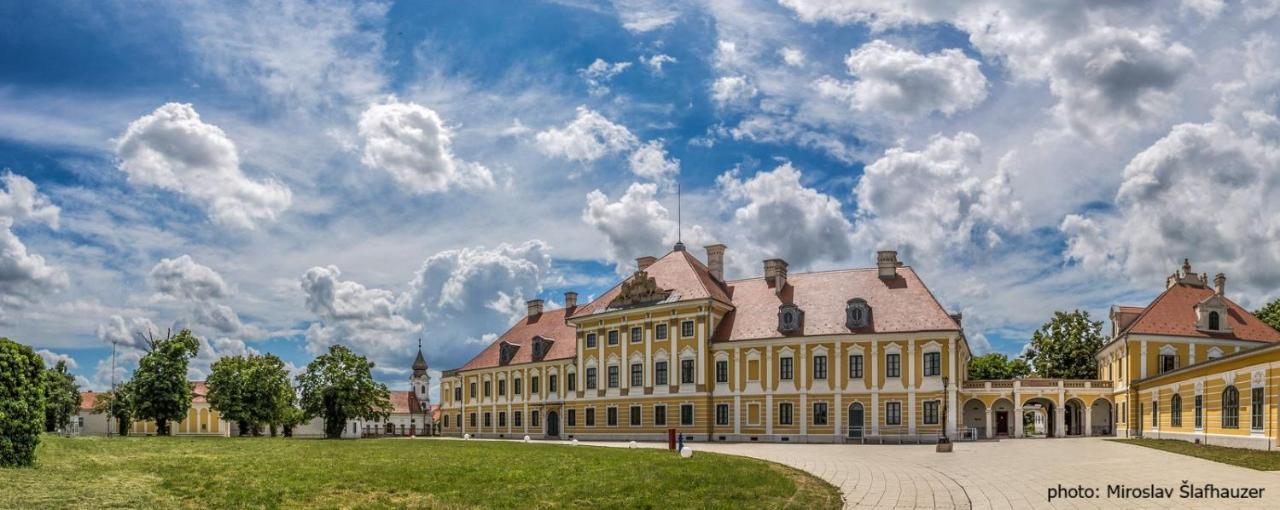 Bed and Breakfast Vila Rosa Вуковар Екстер'єр фото