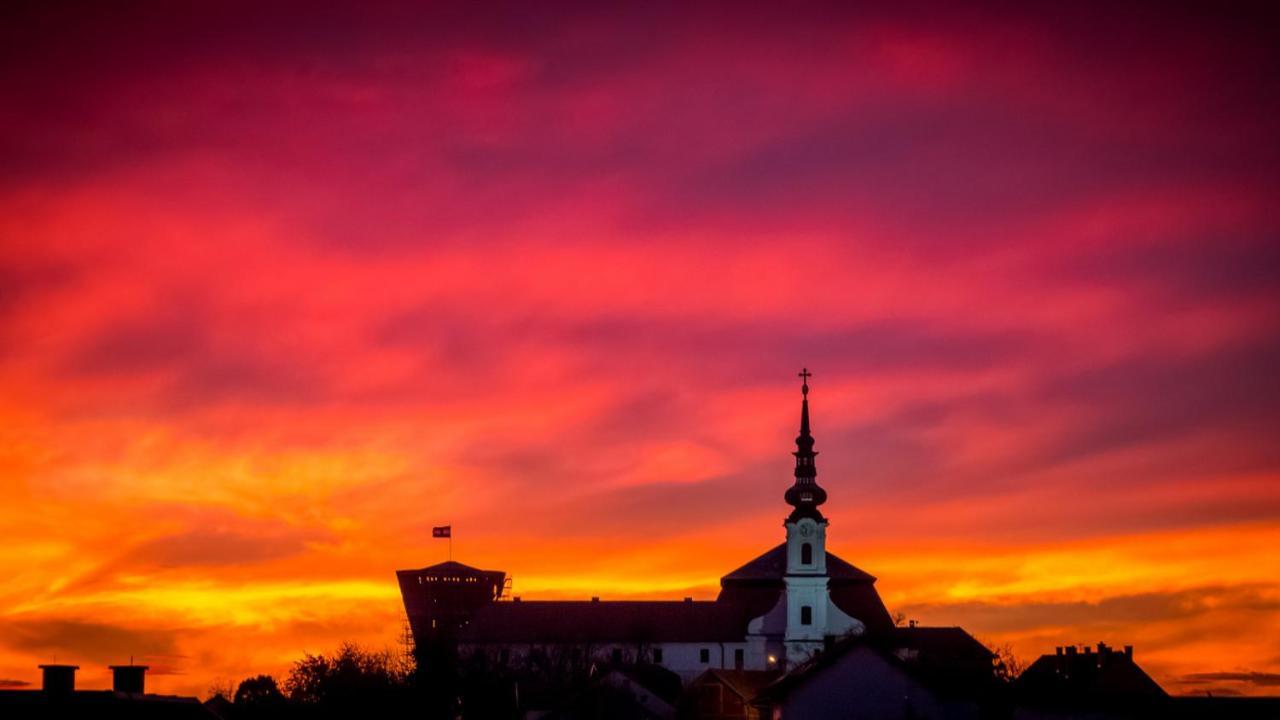 Bed and Breakfast Vila Rosa Вуковар Екстер'єр фото