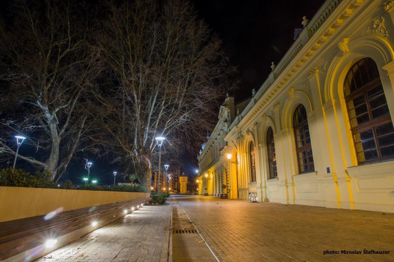 Bed and Breakfast Vila Rosa Вуковар Екстер'єр фото